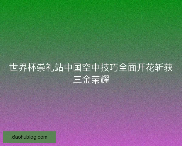 世界杯崇礼站中国空中技巧全面开花斩获三金荣耀