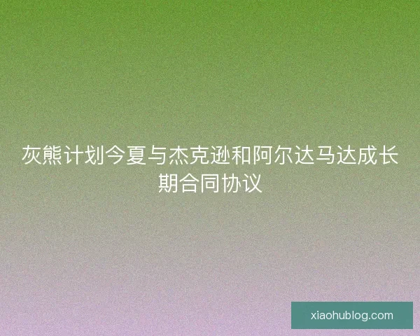 灰熊计划今夏与杰克逊和阿尔达马达成长期合同协议