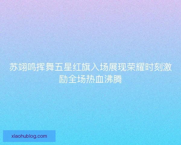 苏翊鸣挥舞五星红旗入场展现荣耀时刻激励全场热血沸腾